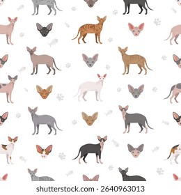 Canadian Sphynx Cat clipart. All coat colors set.  All cat breeds characteristics infographic. Vector illustration