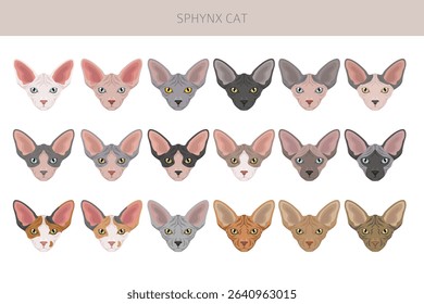 Canadian Sphynx Cat clipart. All coat colors set.  All cat breeds characteristics infographic. Vector illustration