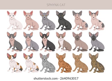 Canadian Sphynx Cat clipart. All coat colors set.  All cat breeds characteristics infographic. Vector illustration