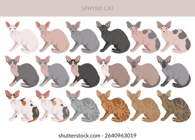 Canadian Sphynx Cat clipart. All coat colors set.  All cat breeds characteristics infographic. Vector illustration