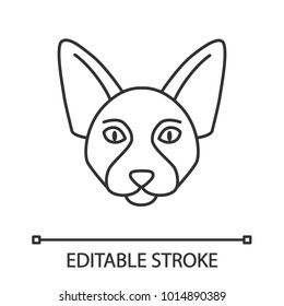 Canadian Sphynx linear icon. Thin line illustration. Hairless cat breed. Contour symbol. Vector isolated outline drawing. Editable stroke