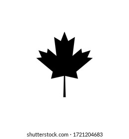 Canadian vector icon and autumn leaves
