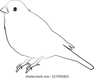 Canary Bird Clip Art Black White Stock Vector (Royalty Free) 2171901821 ...