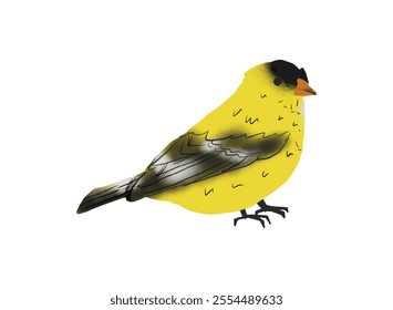 Canary bird clipart, isolated vector illustration.