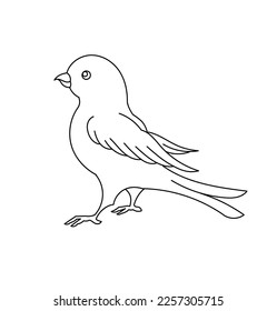 Canary bird. Editable outline stroke. Vector line illustration.