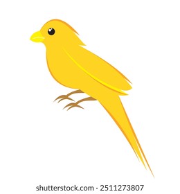 Canary bird illustration, vector and digital art