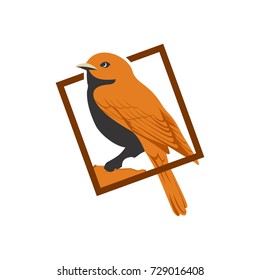 canary bird logo design template