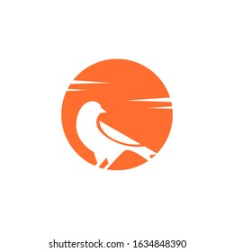 canary bird logo design vector illustration