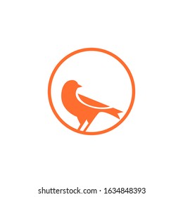 canary bird logo design vector illustration