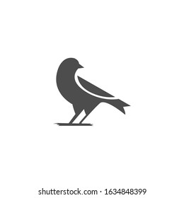 canary bird logo design vector illustration