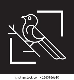 Canary Bird Logo Square White Logo Vector