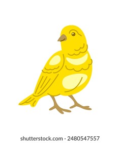 Canary bird pet doodle hand drawn character. Cute smiling singing bird in linear cartoon style. Editable stroke illustration