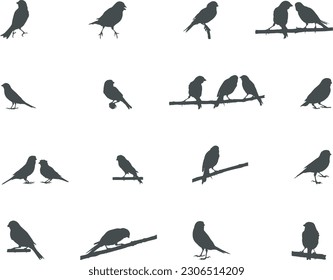 Kanarische Vogelsilhouette, Vogelsilhouetten, Kanarische Vektorgrafik, Kanarische Clipkunst.