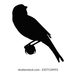 Canary Bird Simple logo design.