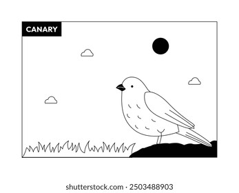 Canary bird standing on a rock near grass, black and white, outline, vector illustration.