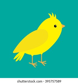 Canary bird. Yellow feather. Green background. Flat design style. Vector illustration