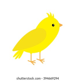 Canary Bird. Yellow Feather. White Background. Isolated Flat Design Style. Vector Illustration