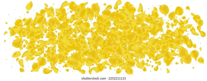 Vector de volante de flor canario Fondo Panorámico Blanco. Patrón de rosa otoño. Tapa de desenfoque de flor de oro. Marco de primavera de Lemon Lotus.