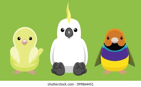 Canary Cockatoo Finch Pet Doll Set Cartoon Vector Illustration