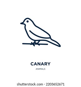 canary icon from animals collection. Thin linear canary, bird, pet outline icon isolated on white background. Line vector canary sign, symbol for web and mobile