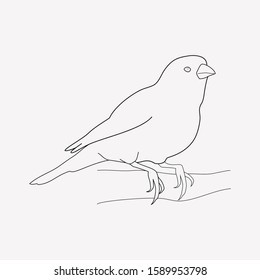 Canary icon line element. Vector illustration of canary icon line isolated on clean background for your web mobile app logo design.