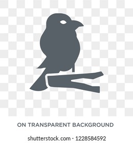 Canary icon. Trendy flat vector Canary icon on transparent background from animals  collection. 