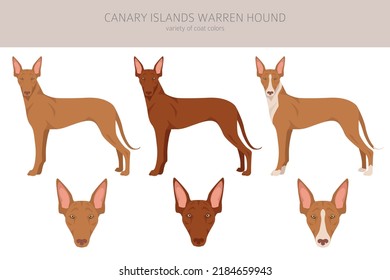 Canary Island Warren es el primer escalón. Postas diferentes, colores de abrigo.  Ilustración del vector