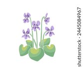 Canary islands stylized blue violet wild flower motif isolated on white background