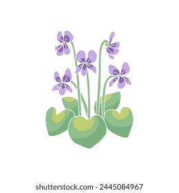 Canary islands stylized blue violet wild flower motif isolated on white background