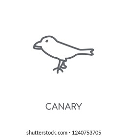 Canary linear icon. Modern outline Canary logo concept on white background from animals collection. Suitable for use on web apps, mobile apps and print media.