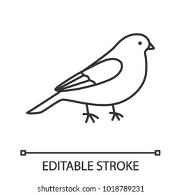Canary linear icon. Thin line illustration. Songbird. Contour symbol. Vector isolated outline drawing. Editable stroke