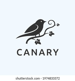 canary logo design vector illustration