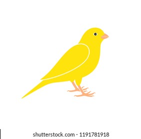 Canary logo. Isolated canary on white background

