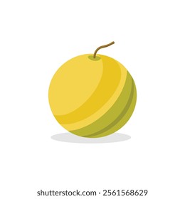 
Canary Melon fruit isolated flat vector illustration on white background