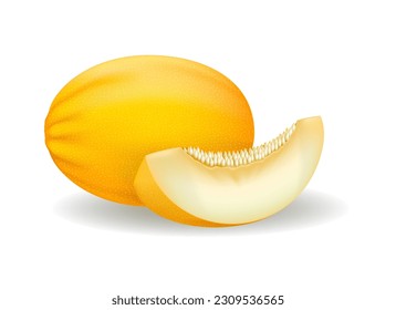 Canary melon realistic vector illustration. Honey fresh ripe yellow sliced piece and whole melons 3d isolated on white, sweet fruit with sweet taste and alluring smell