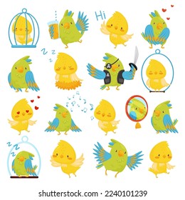 Canary and parrot birds set. Cute pet birds in everyday activities set cartoon vecto