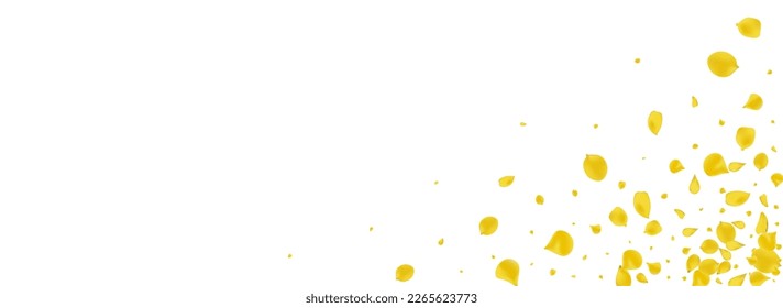 Canary Petal Beauty Vector Panoramic White Background. Fall Peach Cover. Gold Sakura Japanese Pattern. Yellow Floral Summer Wallpaper.