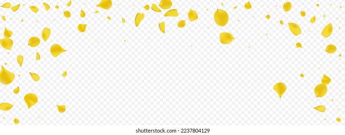 Canary Sakura Flying Vector Panoramic Transparent Background. Beauty Floral Backdrop. Mustard Blossom Blur Design. Gold Lotus Summer Banner.