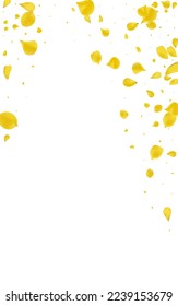 Canary Sakura Tender Vector White Background. Japan Flower Illustration. Mustard Blossom Blur Poster. Gold Peach Summer Wallpaper.