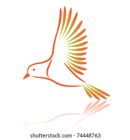  Canary. Vector illustration