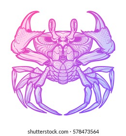 Cancer. Accurate symmetrical drawing of the beach crab. Concept art for tattoo, horoscope, sea food business. Pastel colored. Linear drawing itolated on white background. EPS10 vector