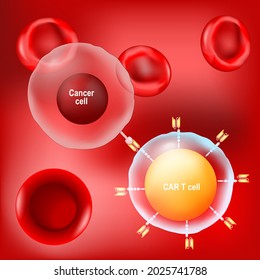 Cancer Cell, CAR T-cell (lymphocyte) And Red Blood Cells On Red Background. Vector Poster About Immunotherapy Or Chemotherapy Cancer.