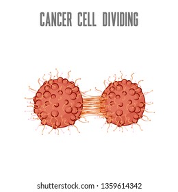 Cancer Cell Dividing. Vector Isolated Microscopic View Cartoon Image Of Cancer Cell Dividing. Сan Be Used In Medical Illustrations. Outside View Of Cells.