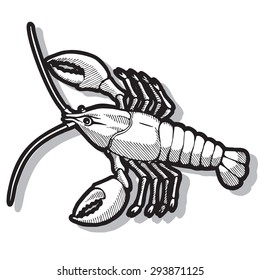 cancer with claws. Zodiac sign - Cancer. Vector illustration. Black silhouette. Black lines, gray shadow, white background