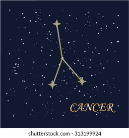 The cancer constellation