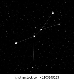 Cancer constellation design