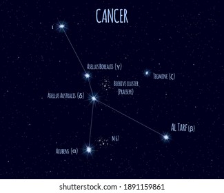 Cancer constellation, vector illustration with the names of basic stars against the starry sky