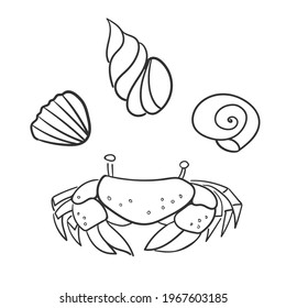 Cancer, crab, shells isolated on white background. Underwater world, coral reef, sea, ocean, marine. Vector illustration. Doodle style, line art, simple pictures. Tourism, diving, traveling, explore.