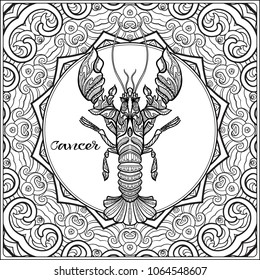 Cancer. Decorative zodiac sign on pattern background. Outline hand drawing. Good for coloring page for theÂ adult coloring book Stock vectorÂ illustration.