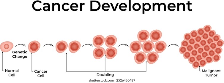 Desenvolvimento de câncer Ilustração de vetor celular de câncer de células normais